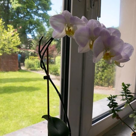 Appartamento Apartament Parkowy Cracovia Esterno foto